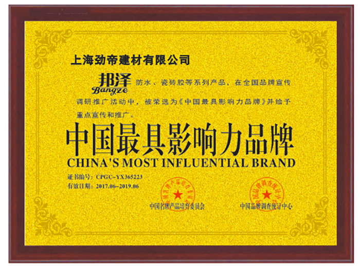 中國最具影響力品牌